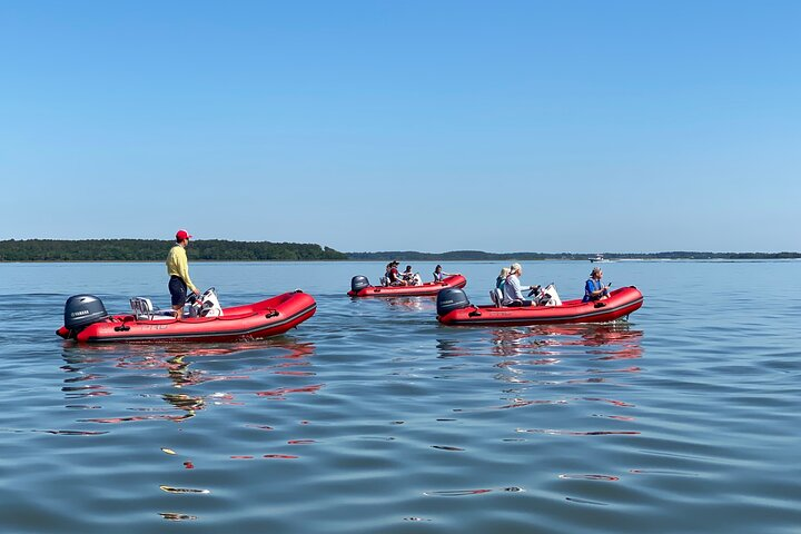 Mini Boat Tour with stop at Disappearing Island - Photo 1 of 7